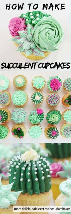 cupcakes decorated in green and pink icing with the words how to make succulent cupcakes