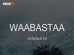 a dandelion with the words wabaasta related to it in white