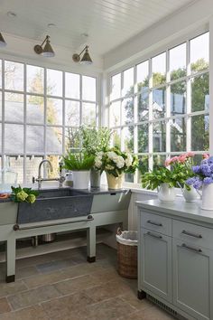 a kitchen filled with lots of windows next to a sink and counter top covered in potted plants