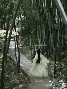 a woman in a white dress is walking through the bamboo forest with an umbrella over her head