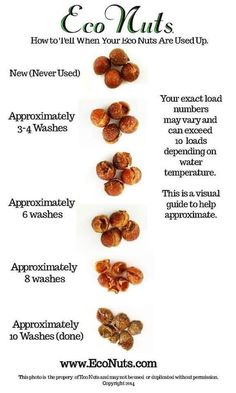 an info sheet describing the benefits of nuts