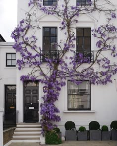 a large white house with purple flowers on the tree in front of it and two black doors