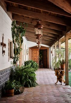 an outdoor walkway with potted plants on either side and hanging lights over the entrance