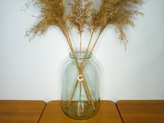 some dried plants in a glass vase on a table