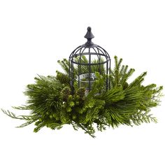 a birdcage filled with pine cones and greenery