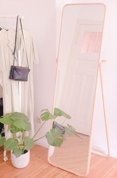 there is a mirror, potted plant and purse on the floor next to it