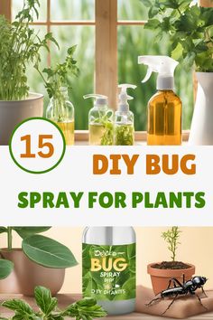 some plants and bottles with the words diy bug spray for plants