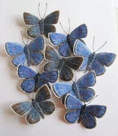 several blue butterflies are arranged on a white surface