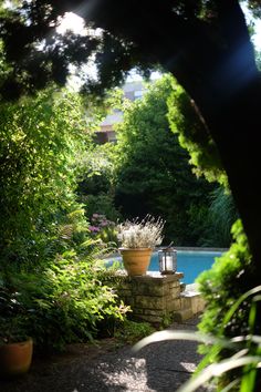 an outdoor pool surrounded by greenery and trees in the background is a stone wall with a potted plant on it