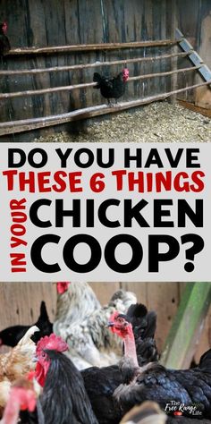 chickens in their coop with the words do you have these 6 things chicken coop?