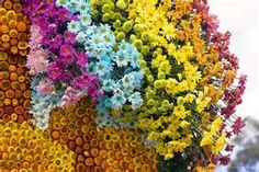 colorful flowers are arranged in the shape of a human head on display at a flower shop