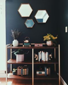 a book shelf with books, plants and mirrors on the wall