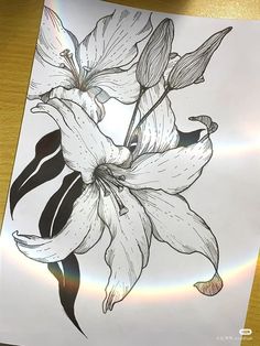 Emotive Drawing, Armband Tattoos, Flower Art Drawing, Minimalist Tattoos, Flower Sketches