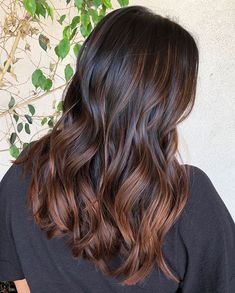 Brown Balayage For Black Hair, Copper Brown Balayage, Balayage For Black Hair, Dark Brown Hair With Highlights, 60 Hairstyles, Hair With Highlights, Brown Hair Balayage, Brown Balayage, Copper Brown