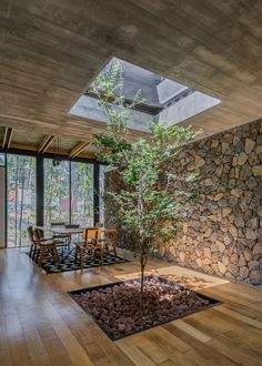 a tree in the middle of a room with wood flooring and walls that have glass windows