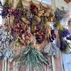 dried flowers hanging on the wall in front of a window