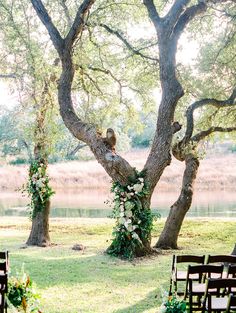 an outdoor ceremony setup with chairs and flowers on the tree branches, along with water in the background