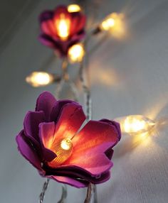 purple flowers are lit up with fairy lights