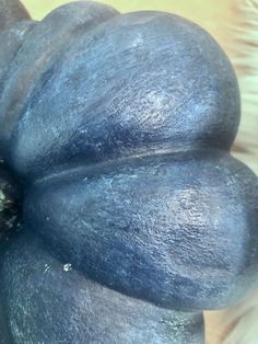 a close up view of the top of a blue pumpkin on a white table cloth