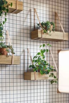 three wooden planters mounted to the side of a wall with plants growing on them