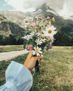 a person holding flowers in front of a mountain