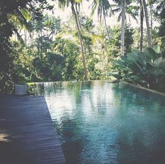 an empty swimming pool surrounded by trees