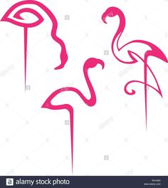 pink flamingos silhouettes on white background with swirly lines in the shape of letters