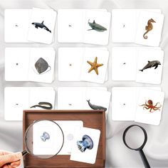 a person holding a magnifying glass in front of a box with sea animals on it