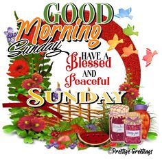 good morning have a blessed and peaceful sunday