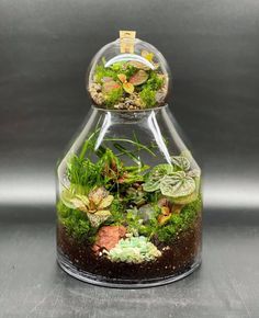 a glass vase filled with plants on top of a table