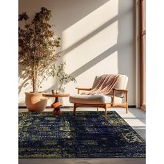 a living room area with two chairs and a rug