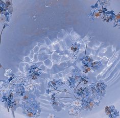 blue flowers are floating in a bowl of water