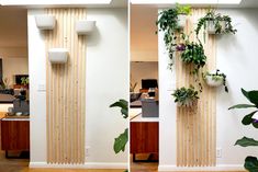 there are two vertical plants on the wall