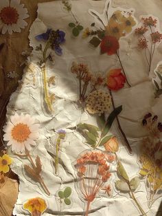 an arrangement of wildflowers and other flowers on a piece of paper