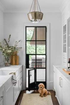 a dog sitting on the floor in front of a door with a chandelier above it