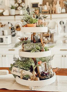 three tiered plant stand with plants in pots on the top and below it, sitting on a kitchen counter