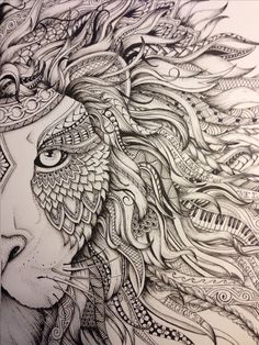 a drawing of a lion's head with intricate details on the face and neck