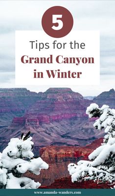 the grand canyon in winter with text overlay that reads 5 tips for the grand canyon in winter