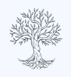 a drawing of a tree with roots