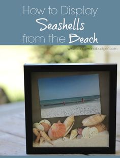 an instagram page on the beach with shells and a photo frame in front of it