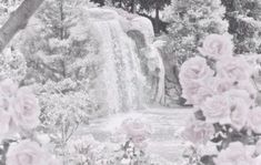 pink roses are blooming in front of a waterfall