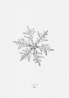 a drawing of a snowflake in black and white