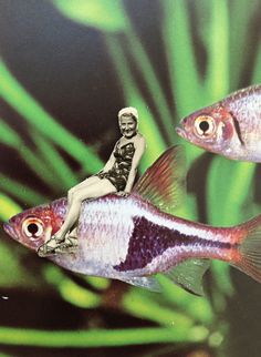 a woman sitting on top of two fish in an aquarium