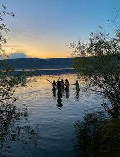 four people are in the water at sunset