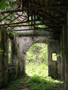 an old abandoned building with grass growing on the floor and windows in the middle of it