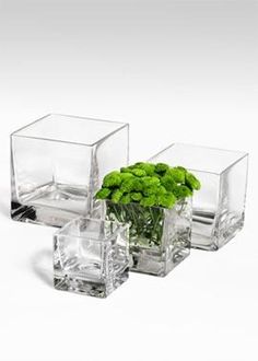 three clear vases with green flowers in them