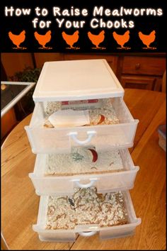 three plastic containers filled with food on top of a wooden table