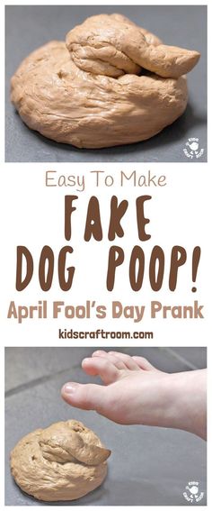 an image of fake dog poop with text overlay