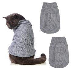 a cat wearing a sweater and mittens sitting next to it's butts