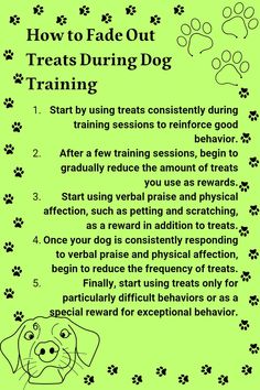 Remember, every dog is different, so the rate at which you fade out treats will depend on your dog's individual progress. With patience and consistency, you can train your dog to respond to verbal praise and physical affection as well as treats! Lacrosse Training, How To Fade, Dog Remedies, Positive Dog Training, Reactive Dog, Good Behavior